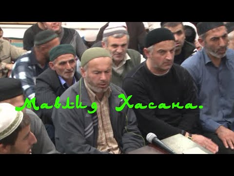 Видео: мавлид Хасана
