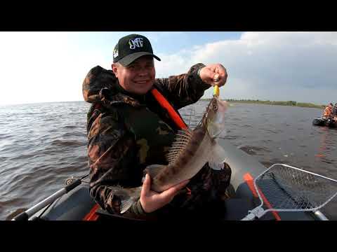 Видео: Оторвались по судаку. Ловля судака и щуки на джиг.  Ловля на Ильмене 2021.