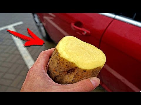 Видео: Зачем картошку трут об Автомобиль? Я в Шоке!!