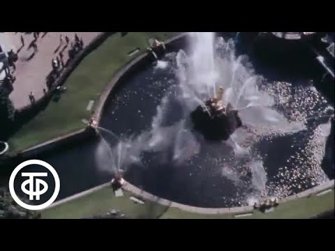 Видео: Возрожденные жемчужины. Восстановление Большого каскада в Петродворце (1982)