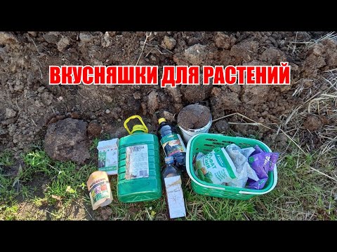 Видео: Подкормка овощей. Главное не перекормить.
