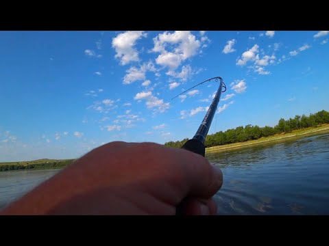 Видео: ЗДЕСЬ ТОННЫ РЫБЫ!НАШЁЛ НЕ ВЫБИТУЮ ЯМУ!