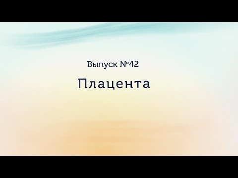 Видео: Плацента