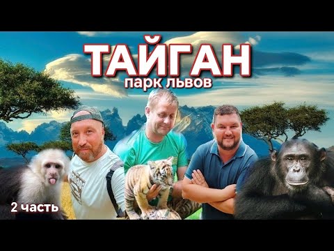 Видео: ТАЙГАН ПАРК ЛЬВОВ. ОЛЕГ ЗУБКОВ. В ГОСТЯХ У ГАМАДРИЛ ЛЮСЯ И СТЕПКА. (2 Ч).