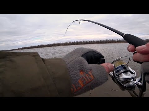 Видео: С таким клевом знай меру! Судаки на каждом забросе! Коптим судака холодным копчением.
