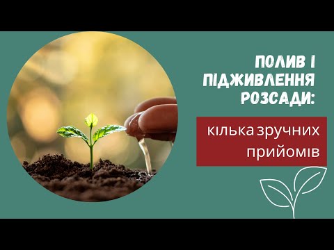 Видео: Полив і підживлення розсади: зручно та безпечно