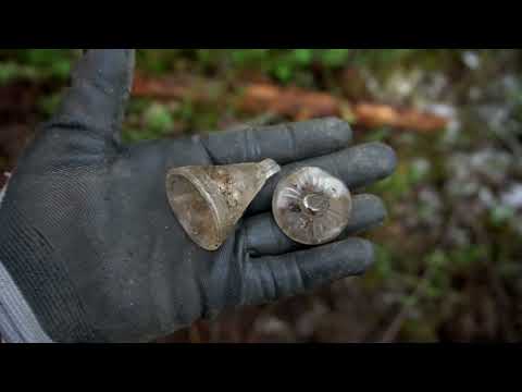 Видео: 6 лет каналу. Север, один в лесу 20- день. 1941-1945-WWII Metal Detecting