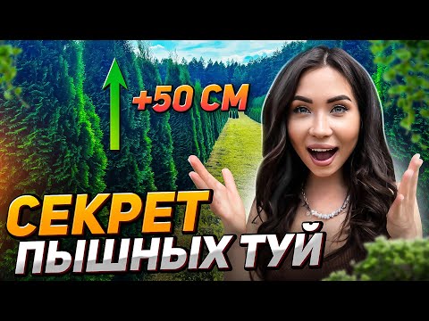 Видео: ПЫШНЫЕ ТУИ НЕЛЬЗЯ ВЫРАСТИТЬ (если не делать это!)