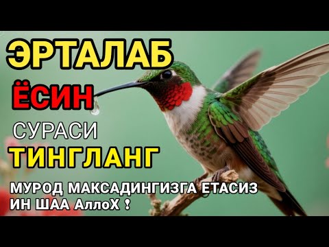 Видео: Ясин сурасидаги руқия! Жин бақиради, сеҳр йўқ бўлади, дил хотиржам