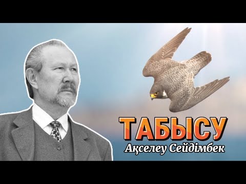 Видео: ТАБЫСУ.