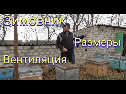 Видео: Зимовник для пчел ,размеры,материалы,вентиляция.