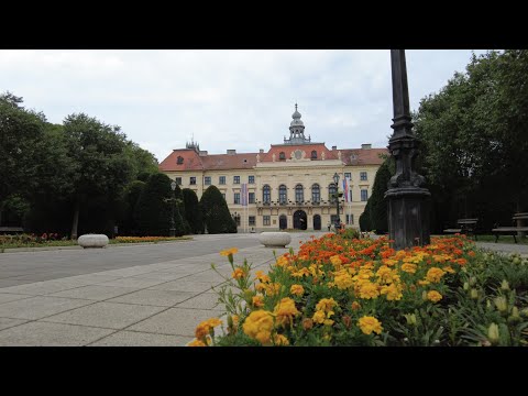 Видео: Собственный опыт покупки недвижимости в Сербии и получения ВНЖ