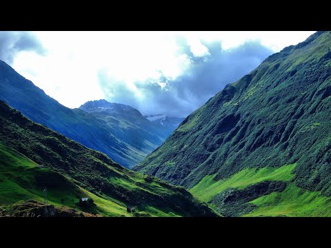 Видео: интересные стихи часть 81