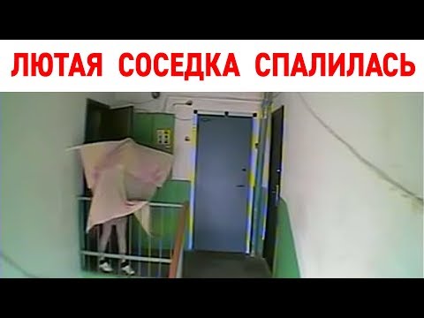 Видео: ВОТ ПОЧЕМУ НУЖНЫ КАМЕРЫ в ПОДЪЕЗДЕ