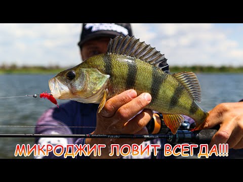 Видео: МИКРОДЖИГ ловит ВСЕГДА 👍 РАБОЧИЕ приманки на ОКУНЯ 💪💪💪
