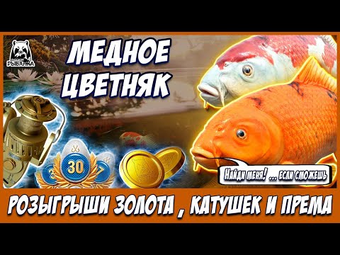 Видео: МЕДНОЕ - ЦВЕТНЫЕ КАРПЫ 🎁 В  РУЛЕТКЕ - РАПТОР, ВЕНГА, РОД ПОД 🔴 РОЗЫГРЫШИ И ТУРНИРЫ 💥СТРИМ РР4