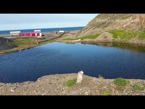 Видео: Уэлен на краю земли 20 августа 2023г обзор водохранилища в летний период и вид с сопки на сам Уэлен