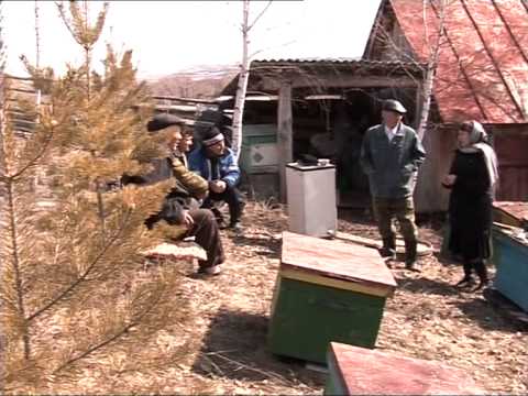 Видео: "История дерени Елдэр" Миякинский район