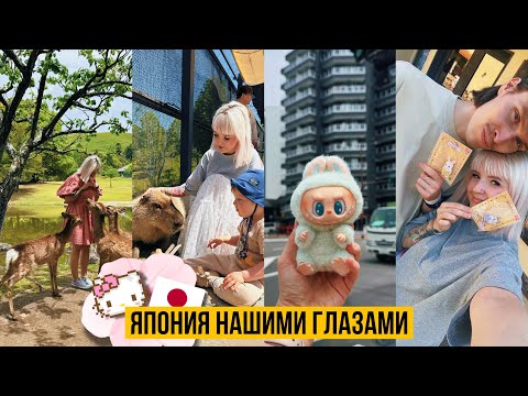 Видео: TRAVEL VLOG 🇯🇵 ЯПОНИЯ // Гладим КОПИБАР, Ручные Олени, Попали в домик к Sylvanian Families 🤩