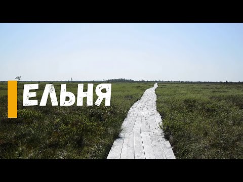 Видео: Ельня. Бесконечные болота.