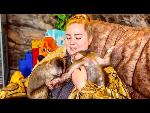 Видео: Финик с Анфисой ЖГУТ! Сначала они ВЫЯСНЯЛИ ОТНОШЕНИЯ, а потом Финик принялся ЦЕЛОВАТЬ РУКУ Анфисы!))