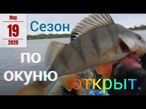 Видео: Открытие летнего сезона. Отводной поводок,Днепр.