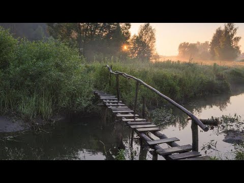 Видео: Этюдик маслом «Мостик»