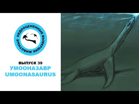 Видео: Недооцененные Вымершие Животные. Выпуск 39: Умооназавр (Umoonasaurus)