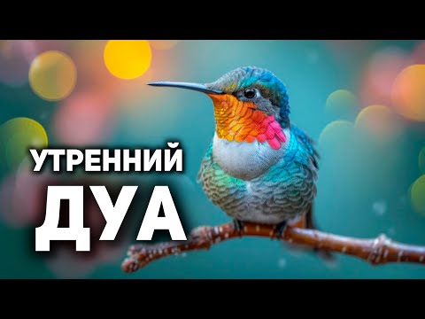 Видео: УТРЕННИЙ ДУА أذكار الصباح ЗАЩИТИТЬ ВАС ВЕСЬ ДЕНЬ | СЛУШАЙТЕ КАЖДОЕ УТРО!