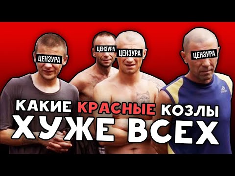 Видео: КРАСНЫЕ В ТЮРЬМЕ И ЗОНЕ / КОЗЛЫ / СДП / СЕКЦИИ