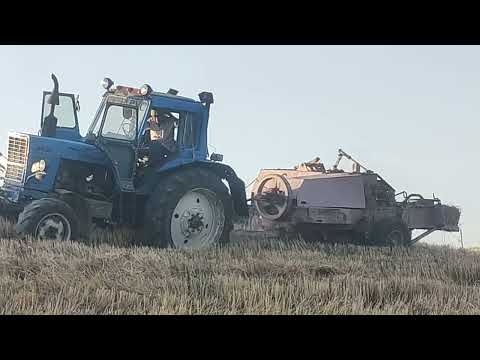 Видео: 21 июля 2024 г.