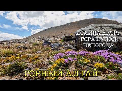 Видео: Алтай. Актру. Гора Купол трех озер (Июнь 2022 | Поход | 4К)