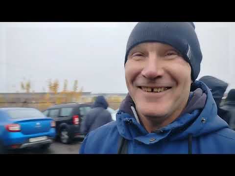 Видео: Ярмарка голубей г Тула. 19.10.25.