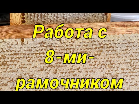 Видео: Особенности работы с 8-ми рамочным ульем!!!