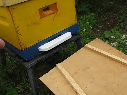 Видео: Уход от роения.  Искусственный рой.