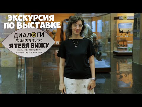 Видео: Экскурсия по выставке "Диалоги животных: я тебя вижу". Юлия Исаханова