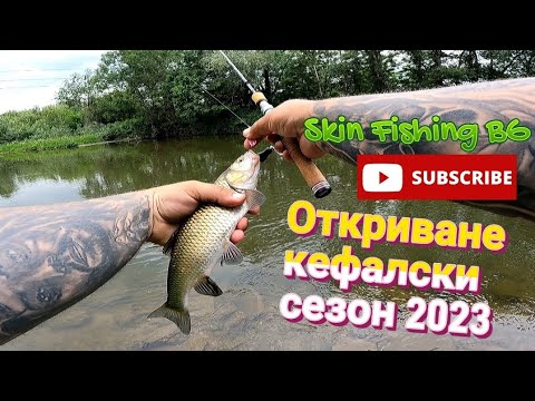 Видео: СЕЗОН 2023 НА КЕФАЛА ОТКРИТ РИБОЛОВ САМО НА КЛАТУШКИ.