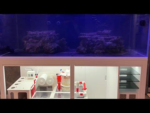 Видео: Передвигаем аквариум  1 тонна в сборе Г.Анапа 2025