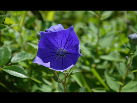 Видео: часть 4