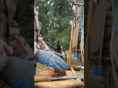 Видео: Лосятина рецепт от старого браконьера в казане,вкусно и просто!