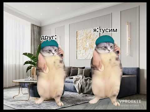 Видео: кошачья жизнь (6 часть)