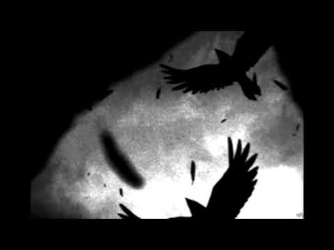 Видео: игла - птица (slowed and reverb)