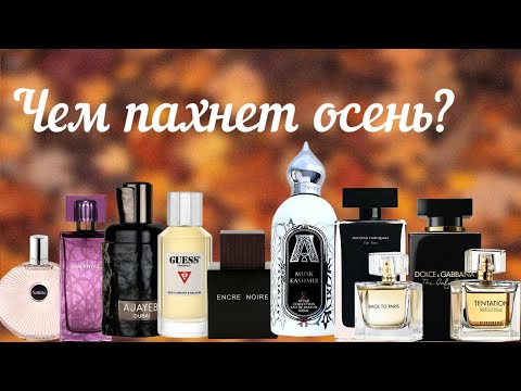 Видео: ТОП 🔝 10 АРОМАТОВ НА ОСЕНЬ 🍂|ОНИ ТАКИЕ РАЗНЫЕ✨|МОЙ ВЗГЛЯД 👀|ПОДБОРКА