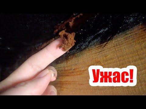 Видео: ПОЧЕМУ УХОДИТ ТЕПЛО И ГНИЮТ СТРОПИЛА