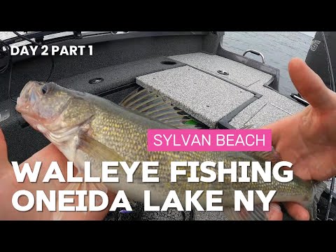 Видео: Ловля судака на озере Онейда, восточное побережье, пляж Сильван, часть 1