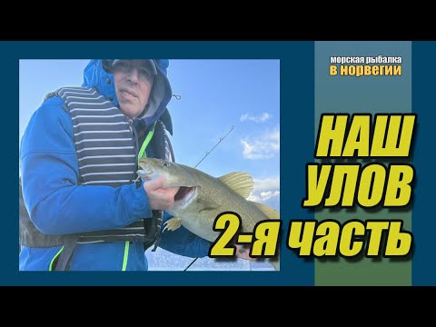 Видео: Наш улов, часть вторая