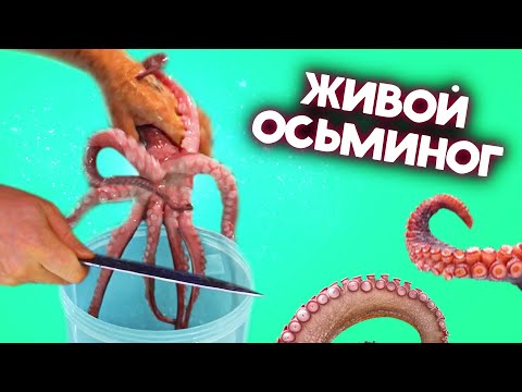 Видео: ПРОБУЕМ ЖИВОГО ОСЬМИНОГА! (Осторожно! Шок-контент)