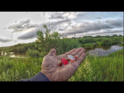 Видео: Блесна Вертушка. С чего начать?! Ловля на Вертушку Мэпс 1+. Рыбалка на спиннинг