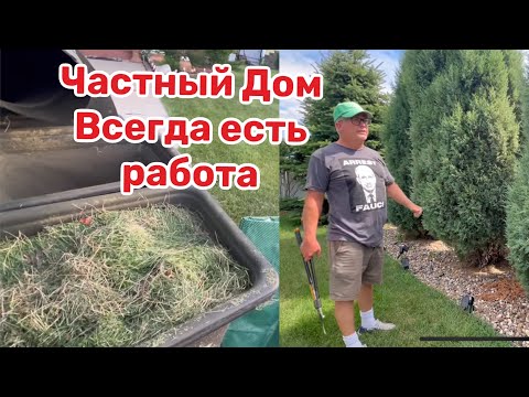 Видео: Проверяю трактор после ремонта..Подруга с мужем пришли на помощь…Заяц убежал 😉