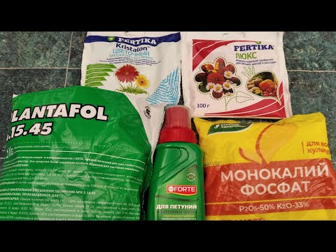 Видео: СУПЕР-УДОБРЕНИЯ ДЛЯ ВЫГОНКИ ЦВЕТКА? РАССАДА БУДЕТ ЗДОРОВАЯ И КАЧЕСТВЕННАЯ!